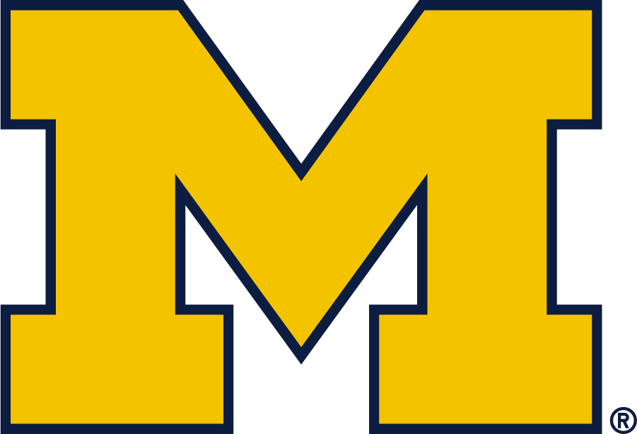 Michigan Wolverines 2016-Pres Alternate Logo DIY iron on transfer (heat transfer)